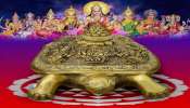 Vastu: ವಾಸ್ತುವಿನ ಪ್ರಕಾರ ಆಮೆಯ ವಿಗ್ರಹವನ್ನು ಮನೆಯ ಈ ದಿಕ್ಕಿನಲ್ಲಿಟ್ಟರೆ ಸಾಕ್ಷಾತ್‌ ಅಷ್ಟ ಲಕ್ಷ್ಮಿಯರೂ ನಿಮ್ಮ ಮನೆಯಲ್ಲಿದ್ದಂತೆ!