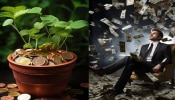 Vastu Tips: ನಿಮ್ಮ ಮನೆಯಲ್ಲೂ ಮನಿ ಪ್ಲಾಂಟ್ ಇದೆಯೇ? ಅಪ್ಪಿತಪ್ಪಿಯೂ ಈ ತಪ್ಪುಗಳನ್ನ ಮಾಡ್ಬೇಡಿ!!