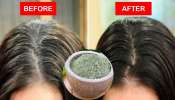 ಯಾವುದೇ ಹೇರ್‌ ಕಲರ್‌ ಬೇಡ.. ಮೊಸರಿಗೆ ಈ ಪುಡಿ ಬೆರೆಸಿ ಹಚ್ಚಿದ್ರೆ ಬಿಳಿಕೂದಲು ಶಾಶ್ವತ್ವಾಗಿ ಕಪ್ಪಾಗುತ್ತವೆ! ಅದೂ ಹತ್ತೇ ನಿಮಿಷದಲ್ಲಿ.. 