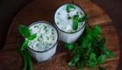 Buttermilk Benefits: ಬೇಸಿಗೆಯಲ್ಲಿ ಮಜ್ಜಿಗೆಗೆ ಹಿಡಿ ಪುದಿನಾ ಹಾಗೂ ಇಂಗೂ ಹಾಕಿ ಕುಡಿದರೆ ಸಿಗುವ ಪ್ರಯೋಜನೆಗಳೇನು ಗೊತ್ತಾ? ಎಲ್ಲಾ ಆರೋಗ್ಯ ಸಮಸ್ಯೆಗಳಿಗೂ ಇದೊಂದು ಪವಾಡ