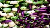 Brinjal health risks: ಈ ಕಾಯಿಲೆ ಇರುವವರು ಅಪ್ಪಿತಪ್ಪಿಯೂ ಬದನೆಕಾಯಿ ತಿನ್ನಬಾರದು! ಇದು ವಿಷಕ್ಕೆ ಸಮಾನ