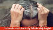 Natural Hair Dye: ಮನೆಯಲ್ಲೆ ಸಿಗುವ ಈ 3 ಪದಾರ್ಥ ಬೆರೆಸಿ ಕೂದಲಿಗೆ ಹಚ್ಚಿದರೆ, ತಕ್ಷಣ ಕಪ್ಪಾಗುತ್ತೆ ಬಿಳಿ ಕೂದಲು