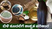 Natural hair Dye: ಬುಡದಿಂದಲೇ ಕೂದಲನ್ನು ಕಪ್ಪಾಗಿಸಿ ಮತ್ತೆ ಬಿಳಿ ಕೂದಲು ಬರದಂತೆ ತಡೆಯಲು, ಕೊಬ್ಬರಿ ಎಣ್ಣೆಗೆ ಈ ಮೂರು ಪದಾರ್ಥ ಬೆರೆಸಿ ಹಚ್ಚಿ
