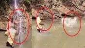 Viral Video: ಹೀರೋ ರೀತಿ ಬಂದು ʼಈಲ್‌ʼ ಮೀನು ಮುಟ್ಟಿದ ಮುತ್ಯಾಗೆ ‌ಕರೆಂಟ್‌ ಶಾಕ್!! ವಿಡಿಯೋ ವೈರಲ್