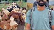 ಜೀವನ ಸಾಗಿಸಲು ಕುದುರೆ, ಕುರಿ ಕಾಯುತ್ತಿದ್ದಾನೆ ಸ್ಟಾರ್‌ ನಟನ ಏಕೈಕ ಪುತ್ರ..! ಹೊಟ್ಟೆಗಾಗಿ ಕೂಲಿ ಮಾಡುವ ಸ್ಥಿತಿ