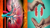 Kidney Disease: ಇವೇ ನೋಡಿ ಕಿಡ್ನಿ ವೈಫಲ್ಯದ ಲಕ್ಷಣಗಳು, ಕಾರಣ ಮತ್ತು ಚಿಕಿತ್ಸೆಗಳ ಮಾಹಿತಿ ಇಲ್ಲಿದೆ!