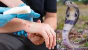Snake Bite: ಹಾವು ಕಡಿತಕ್ಕೆ ಈಗ ಮನೆಯಲ್ಲೇ ಕೂತು ಚಿಕಿತ್ಸೆ ಪಡೆಯಿರಿ.. ದೇಹದಿಂದ ಸೆಕೆಂಡುಗಳಲ್ಲಿ ವಿಷವನ್ನು ತೆಗೆದು ಹಾಕುತ್ತೆ ಈ ಮದ್ದು..