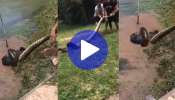 Viral Video: ಮುದ್ದಾದ ನಾಯಿಯನ್ನು ಎಳೆದೊಯ್ದ ಅನಕೊಂಡಾ ಹಾವು.. ಪ್ರಾಣವನ್ನು ಪಣಕ್ಕಿಟ್ಟು ವಿಷಸರ್ಪದಿಂದ ಶ್ವಾನವನ್ನು ರಕ್ಷಿಸಲು ಹರಸಾಹಸ ಪಟ್ಟ ಮೂವರು! ಇವರ ಸಾಹಸಕ್ಕೆ ಒಂದು ಸಲಾಂ ಹೊಡೆಯಲೇ ಬೇಕು 