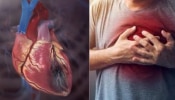 Heart Attack: ಈ ಒಂದೇ ಒಂದು ಟೆಸ್ಟ್‌ನಿಂದ ಹೃದ್ರೋಗಗಳನ್ನು ಮೊದಲೇ ಪತ್ತೆ ಹಚ್ಚಬಹುದು