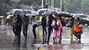 Rain Alert: ಏಪ್ರಿಲ್ 30ರವರೆಗೆ ಈ ಜಿಲ್ಲೆಗಳಲ್ಲಿ ಭಾರೀ ಮಳೆ, ಯಲ್ಲೋ ಅಲರ್ಟ್‌ ಘೋಷಣೆ!!