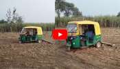 Viral Video: ಇದು ಗುರು ಟ್ಯಾಲೆಂಟ್‌ ಅಂದ್ರೆ.. ಆಟೋ ಸಹಾಯದಿಂದ ಹೊಲ ಉಳುಮೆ ಮಾಡುತ್ತಿರುವ ರೈತ! ವಿಡಿಯೋ ವೈರಲ್..