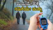 ಪಥ್ಯ ಬೇಕಿಲ್ಲ... ಜಸ್ಟ್ ಸಿಂಪಲ್ &#039;ವಾಕ್&#039; ಮಾಡಿದರೂ ಸಾಕು ಕಂಟ್ರೋಲ್ ಆಗುತ್ತೆ ಶುಗರ್...! 