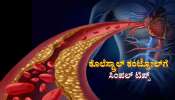 ದೇಹದಲ್ಲಿ ಹೆಚ್ಚಾದ ಕೊಲೆಸ್ಟ್ರಾಲ್ ಅನ್ನು ಸುಲಭವಾಗಿ ಕಂಟ್ರೋಲ್‌ಗೆ ತರಲು ಈ ಟಿಪ್ಸ್ ಅನುಸರಿಸಿ...!