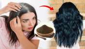 ಉಗುರುಬೆಚ್ಚ ನೀರಿಗೆ ಇದನ್ನು ಬೆರೆಸಿ ತಲೆಸ್ನಾನ ಮಾಡಿದ್ರೆ 10 ಸೆಕೆಂಡಲ್ಲಿ ಬೇರಿನಿಂದಲೇ ಕಪ್ಪಾಗುತ್ತೆ ಬಿಳಿ ಕೂದಲು! ಶತಮಾನಗಳಿಂದಲೂ ಬಳಕೆಯಲ್ಲಿರುವ ಆಯುರ್ವೇದ ವಿಧಾನವಿದು