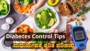 ರಕ್ತದಲ್ಲಿನ ಸಕ್ಕರೆ ಮಟ್ಟ 300ರ ಗಡಿ ದಾಟಿದ್ರೂ ಕೂಡಲೇ ನಿಯಂತ್ರಿಸಬಲ್ಲ ಶುಗರ್ ಕಂಟ್ರೋಲ್ ಆಹಾರಗಳಿವು 