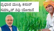 PM Kisan: ಪಿಎಂ ಕಿಸಾನ್‌ ಯೋಜನೆಯ 20ನೇ ಕಂತಿನ ಹಣದ ಬಗ್ಗೆ ಬಿಗ್‌‌ ಅಪ್‌ಡೇಟ್; ಈ ಕೆಲಸ ಮಾಡದಿದ್ರೆ ಹಣ ಬರಲ್ಲ!!