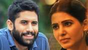 ಪ್ರೀತಿಸಿ ಮದುವೆಯಾದ್ರೂ ಈ ಒಂದು ಕಾರಣದಿಂದ ದೂರವಾದ್ರಾ ಸಮಂತಾ-ನಾಗಚೈತನ್ಯ!? 4 ವರ್ಷಗಳ ನಂತರ ಬಹಿರಂಗವಾಯ್ತು ವಿಚ್ಛೇದನದ ಸತ್ಯ.. 
