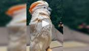 Viral Video: ರಾವಣನ ಥರ ಗಹಗಹಿಸಿ ನಗುತ್ತಿರುವ ಗಿಳಿ... ಪ್ರಕೃತಿ ವೈಚಿತ್ರಕ್ಕೆ ಸಾಕ್ಷಿಯಂತಿದೆ ಈ ವಿಡಿಯೋ