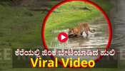 ನೀರು ಕುಡಿಯಲು ಬಂದ ಜಿಂಕೆಯನ್ನು ಕೆರೆಯಲ್ಲೇ ಬೇಟೆಯಾಡಿದ ಹುಲಿರಾಯ: Video Viral 