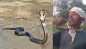 Viral Video: ರೀಲ್ಸ್‌ ಹುಚ್ಚಿಗೆ ಮುತ್ತಿಡಲು ಯತ್ನಿಸಿದ ವ್ಯಕ್ತಿಯ ನಾಲಿಗೆಯನ್ನೇ ಕಚ್ಚಿದ ಹಾವು!! 