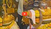 Viral Video: ದೇಗುಲದಲ್ಲೇ ಸಾಕ್ಷಾತ್‌ ಪರಮೇಶ್ವರನ ದರ್ಶನ.. ಶಿವಲಿಂಗದ ಮೇಲೆ ಹೆಡೆಬಿಚ್ಚಿ ಕುಳಿತ ನಾಗರಹಾವು! ಜೀವನ ಪಾವನವಾಯ್ತು ಎಂದ ಜನರು