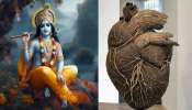 ನಿಗೂಢ ಜಗತ್ತು: ಭಾರತದ ಈ ಹಳ್ಳಿಯಲ್ಲಿ ಶ್ರೀಕೃಷ್ಣನ ಹೃದಯ ಪತ್ತೆ... ಇನ್ನೂ ಬಡಿಯುತ್ತಲೇ ಇದೆ ವಾಸುದೇವನ ಹೃದಯ.!?