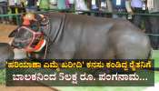 ಹರಿಯಾಣ ಎಮ್ಮೆ ಖರೀದಿ... 12 ವರ್ಷದ ಮಗನ ಆಟಕ್ಕೆ 5 ಲಕ್ಷ ರೂ. ಕಳೆದುಕೊಂಡ ರೈತ 