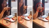 Viral Video: ಓಡುತ್ತಿರುವ ಜಿರಳೆ ಹಿಡಿದು ಬರ್ಗರ್‌ನಲ್ಲಿ ಹಾಕಿ ತಿಂದ ಯುವತಿ!! ವಿಡಿಯೋ ವೈರಲ್