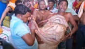 ಮೀನುಗಾರರ ಬೀಸಿದ ಬಲೆ ಬಿತ್ತು ಅದೃಷ್ಟ...! ಈ ಮೀನಿನ ಬೆಲೆ, ಅದರ ವಿಶೇಷತೆ ತಿಳಿದ್ರೆ ತಿನ್ನದೇ ಬಿಡಲ್ಲ ನೀವು 