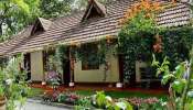 ಮನೆಯಲ್ಲಿ ಈ ಗಿಡ ಇದ್ದರೆ ಈಗಲೇ ಕಿತ್ತು ಬಿಸಾಕಿ! ಅದೃಷ್ಟವನ್ನೆಲ್ಲಾ ದುರಾದೃಷ್ಟವಾಗಿ ಪರಿವರ್ತಿಸುವ ನಕಾರಾತ್ಮಕ ಸಸ್ಯವದು