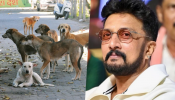 ಧ್ವನಿಯಿಲ್ಲದವರಿಗೆ ಧ್ವನಿಯಾಗಬಹುದು.. ದಯವಿಟ್ಟು ಬೀದಿ ನಾಯಿಗಳನ್ನು ದತ್ತು ತೆಗೆದುಕೊಳ್ಳಿ: ನಟ ಸುದೀಪ್‌