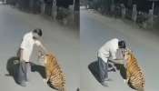 Viral video: ಕುಡಿದ ಮತ್ತಿನಲ್ಲಿ ಬೆಕ್ಕಿನಂತೆ ಹುಲಿಯ ತಲೆ ಸವರಿದ ಭೂಪ! ಕೈಲಿದ್ದ ಮದ್ಯ ಕುಡಿಸಲು ಪ್ರಯತ್ನ, ನೆಟ್ಟಿಗರನ್ನೇ ಬೆಚ್ಚಿಬೀಳಿಸಿತು ಅಸಲಿ ಸತ್ಯ Viral video: ಕುಡಿದ ಮತ್ತಿನಲ್ಲಿ ಬೆಕ್ಕಿನಂತೆ ಹುಲಿಯ ತಲೆ ಸವರಿದ ಭೂಪ! ಕೈಲಿದ್ದ ಮದ್ಯ ಕುಡಿಸಲು ಪ್ರಯತ್ನ, ನೆಟ್ಟಿಗರನ್ನೇ ಬೆಚ್ಚಿಬೀಳಿಸಿತು ಅಸಲಿ ಸತ್ಯ