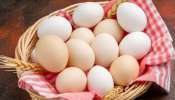 ಮೊಟ್ಟೆಯಲ್ಲಿ ಕ್ಯಾನ್ಸರ್ ಕಾರಕ ವದಂತಿ ಎಚ್ಚೆತ್ತ ಆರೋಗ್ಯ ಇಲಾಖೆ! ಮೊಟ್ಟೆ ಟೆಸ್ಟ್ ಗೆ ಸೂಚನೆ..