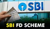 SBI ಬ್ಯಾಂಕಿನಲ್ಲಿ ₹2,00,000 ಠೇವಣಿ ಇಟ್ರೆ ₹85,049 ಸ್ಥಿರಬಡ್ಡಿ ಸಿಗುತ್ತೆ: ಇಲ್ಲಿದೆ ಮಾಹಿತಿ