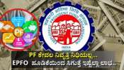 ಪಿಎಫ್ ಕೇವಲ ನಿವೃತ್ತಿ ನಿಧಿಯಲ್ಲ... ಇಪಿಎಫ್ಒ ಹೂಡಿಕೆಯಿಂದ ಸಿಗುತ್ತೆ ಇಷ್ಟೆಲ್ಲಾ ಪ್ರಯೋಜನ ಪಿಎಫ್ ಕೇವಲ ನಿವೃತ್ತಿ ನಿಧಿಯಲ್ಲ... ಇಪಿಎಫ್ಒ ಹೂಡಿಕೆಯಿಂದ ಸಿಗುತ್ತೆ ಇಷ್ಟೆಲ್ಲಾ ಪ್ರಯೋಜನ