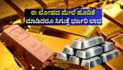ಚಿನ್ನ-ಬೆಳ್ಳಿ ಮಾತ್ರವಲ್ಲ, ಈ ಲೋಹದ ಮೇಲೆ ಹೂಡಿಕೆ ಮಾಡಿದರೂ ಸಿಕ್ಕಾಪಟ್ಟೆ ಲಾಭ ಇರುತ್ತೆ! ಹೂಡಿಕೆ ಮಾಡುವುದು ಹೇಗೆ ಗೊತ್ತಾ?