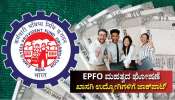 EPFO ಮಹತ್ವದ ಘೋಷಣೆ: ಖಾಸಗಿ ಉದ್ಯೋಗಿಗಳಿಗೆ ಜಾಕ್‌ಪಾಟ್