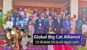 ಬಂಡೀಪುರದಲ್ಲಿ ಅಂತಾರಾಷ್ಟ್ರೀಯ ಬಿಗ್ ಕ್ಯಾಟ್ಸ್ ಶೃಂಗಸಭೆ- 23 ದೇಶಗಳ 39 ಮಂದಿ ತಜ್ಞರು ಭಾಗಿ
