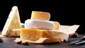 ವಿಶ್ವದ ಅತ್ಯಂತ ದುಬಾರಿ ಚೀಸ್‌ ಈ ಪ್ರಾಣಿಯ ಹಾಲಿನಿಂದ ತಯಾರಿಸಲಾಗುತ್ತೆ.. ಇದು ಯಾವ ದೇಶದಲ್ಲಿ ಸಿಗುತ್ತೆ, ಇದರ ಬೆಲೆ ಎಷ್ಟು..?