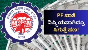 EPFO ಸದಸ್ಯರಿಗೆ ಗುಡ್‌ನ್ಯೂಸ್‌.. PF ಖಾತೆ ನಿಷ್ಕ್ರಿಯವಾಗಿದ್ದರೂ ಸಿಗುತ್ತೆ ಹಣ! ಈ ಕೆಲಸ ಮಾಡಿ ಸಾಕು.. 