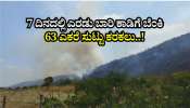 7 ದಿನದಲ್ಲಿ ಎರಡು ಬಾರಿ ಕಾಡಿಗೆ ಬೆಂಕಿ: 63 ಎಕರೆ ಸುಟ್ಟು ಕರಕಲು..!
