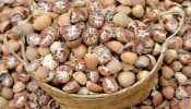 Arecanut Price: ದಾವಣಗೆರೆ, ಚಿತ್ರದುರ್ಗ, ಶಿವಮೊಗ್ಗದಲ್ಲಿ ಇಂದಿನ ಅಡಿಕೆ ಧಾರಣೆ
