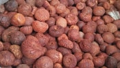 Arecanut Price: ಶಿವಮೊಗ್ಗ, ತುಮಕೂರು, ಚಿತ್ರದುರ್ಗದಲ್ಲಿ ಇಂದಿನ ಅಡಿಕೆ ಧಾರಣೆ