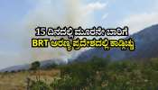 15 ದಿನದಲ್ಲಿ ಮೂರನೇ ಬಾರಿಗೆ ಅರಣ್ಯ ಪ್ರದೇಶದಲ್ಲಿ ಕಾಡ್ಗಿಚ್ಚು: ಬಿ ಆರ್ ಟಿ ಕಾಡುತ್ತಿರುವ ಕಿಡಿಗೇಡಿ ಕೃತ್ಯ