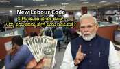 New Labour Code: ಹೊಸ ಕಾರ್ಮಿಕ ಸಂಹಿತೆಯ 50% ಮೂಲ ವೇತನ ರೂಲ್ಸ್‌ ನಿಮ್ಮ ಸಂಬಳವನ್ನು ಹೇಗೆ ಮರು ರೂಪಿಸುತ್ತೆ? ಇಲ್ಲಿದೆ ಮಾಹಿತಿ