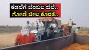 ಕಡಲೆಗೆ ಬೆಂಬಲ ಬೆಲೆ: ಖರೀದಿ ಮಾಡಿದ ಕಡಲೆ ಕಾಳು ತುಂಬಲು ಗೋಣಿ ಚೀಲ ಪೂರೈಕೆ ಮಾಡದ ಸರ್ಕಾರ