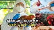 H5N1: ಹೆಸರಘಟ್ಟದಲ್ಲಿ ಹಕ್ಕಿಜ್ವರ ದೃಢ: ಸಾರ್ವಜನಿಕರಿಗೆ ಆತಂಕ ಬೇಡ, ಜಾಗರೂಕತೆ ಅಗತ್ಯ ಎಂದ ಆರೋಗ್ಯ ಸಚಿವರು