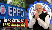 EPFO CITES 2.0: UPI ಮೂಲಕ ಪಿಎಫ್‌ ತ್ವರಿತ ಹಿಂಪಡೆಯುವಿಕೆಯ ಪ್ರಮುಖ ಅಪ್‌ಗ್ರೇಡ್!