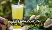 ಕಬ್ಬಿನ ಹಾಲು vs ಎಳನೀರು: ಬೇಸಿಗೆ ತಾಪ ನೀಗಿಸಲು ಯಾವ ಪಾನೀಯ ಉತ್ತಮ..!