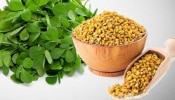 ಒಂದು ಟೀ ಚಮಚ ನೆನೆಸಿದ ಈ ಬೀಜಗಳನ್ನ 30 ದಿನಗಳ ಕಾಲ ತಿಂದ್ರೆ ಡಯಾಬಿಟಿಸ್‌, ಬಿಪಿ ಬರೋದಿಲ್ಲ!